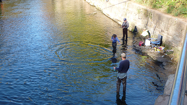 Even the little ones fish.JPG